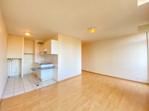 52824586  – Immeuble à MONT DE MARSAN