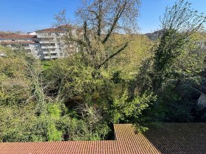 52962359  – Appartement – 3 pièces à MONT DE MARSAN