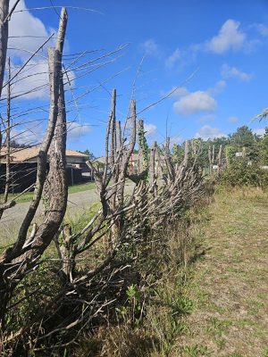 52700236  – Terrain à PARENTIS EN BORN