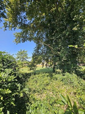 52700236  – Terrain à PARENTIS EN BORN