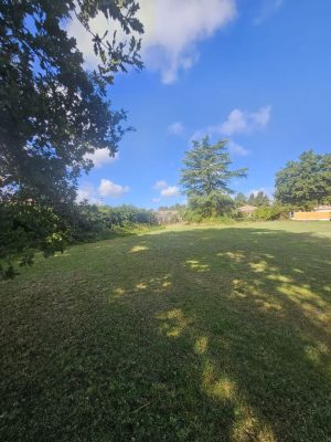 52700236  – Terrain à PARENTIS EN BORN