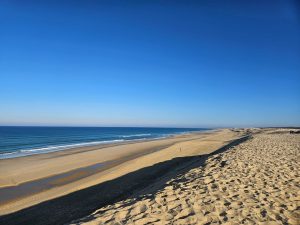 52728611  – Maison – 3 pièces à BISCARROSSE