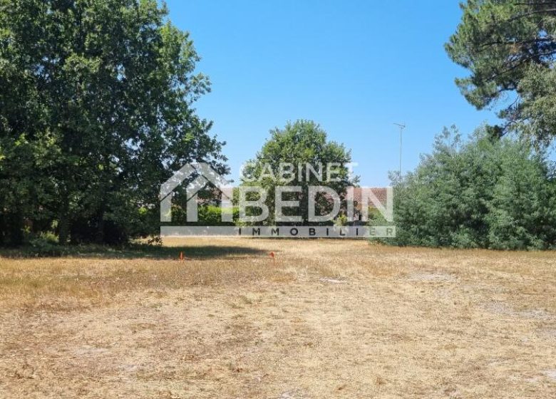 52633060  – Terrain à BISCARROSSE