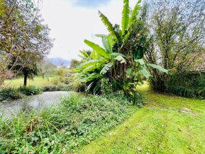 52772961  – Maison – 5 pièces à DAX