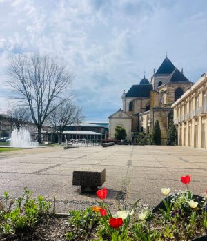 52944117  – Appartement – 1 pièces à DAX