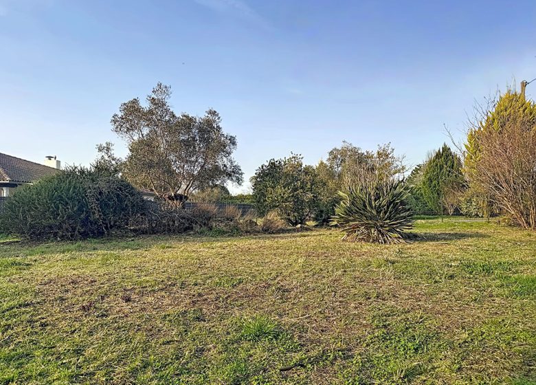 52914155  – Terrain à SOUSTONS