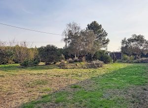 52914155  – Terrain à SOUSTONS