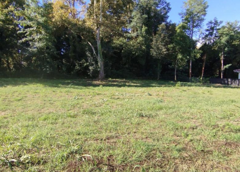 52687137  – Terrain à MONT DE MARSAN