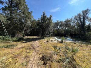 52964206  – Maison – 3 pièces à LABENNE