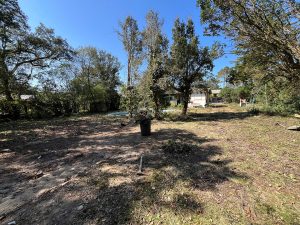 52964206  – Maison – 3 pièces à LABENNE