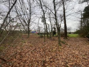 52342096  – Terrain à ST PAUL LES DAX