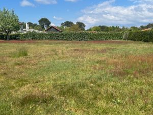 51937312  – Terrain à LIT ET MIXE