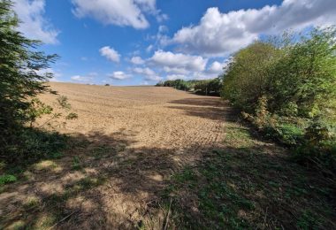52737951  – Terrain à ST AUBIN
