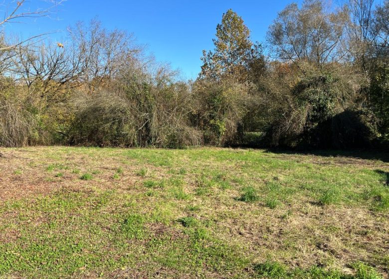 52806707  – Terrain à TARTAS