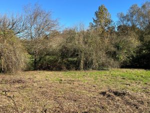 52806707  – Terrain à TARTAS