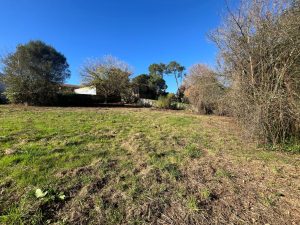 52806707  – Terrain à TARTAS