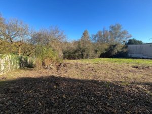 52806707  – Terrain à TARTAS