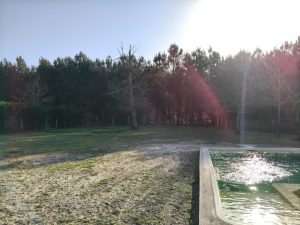 52963416  – Maison – 5 pièces à BEYLONGUE