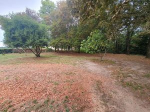 52437729  – Maison – 3 pièces à MUGRON