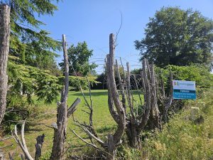 52705435  – Terrain à PARENTIS EN BORN