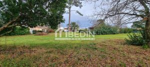 52633060  – Terrain à BISCARROSSE