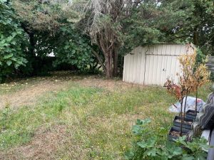 52966511  – Maison – 2 pièces à ST PAUL LES DAX