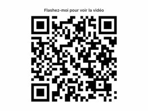 52875887  – Appartement – 4 pièces à DAX