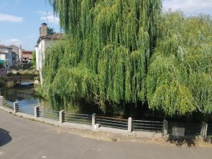 52952440  – Appartement – 3 pièces à AIRE SUR L ADOUR