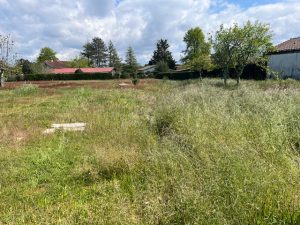 51937312  – Terrain à LIT ET MIXE