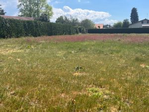 51937312  – Terrain à LIT ET MIXE