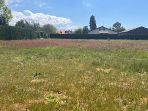 51937312  – Terrain à LIT ET MIXE