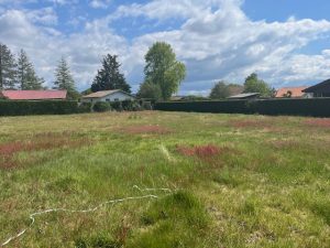 51937312  – Terrain à LIT ET MIXE