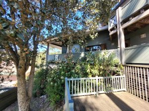 52968646  – Maison – 4 pièces à SEIGNOSSE