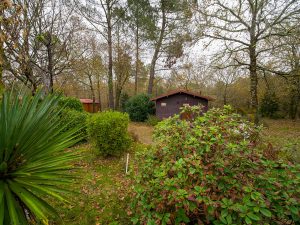 52794841  – Maison – 3 pièces à BELHADE