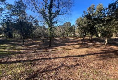 52972018  – Terrain à LABENNE