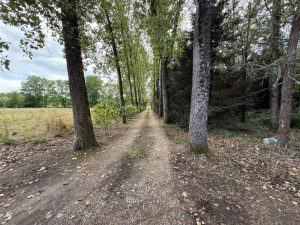 52658586  – Maison – 4 pièces à LACQUY