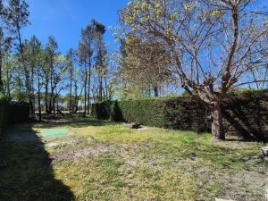 52973494  – Maison – 3 pièces à ONESSE LAHARIE