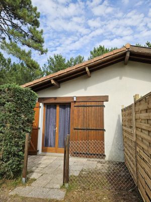 Studio avec vue sur la forêt