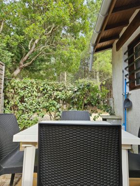 Studio avec vue sur la forêt