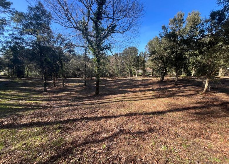 52972018  – Terrain à LABENNE