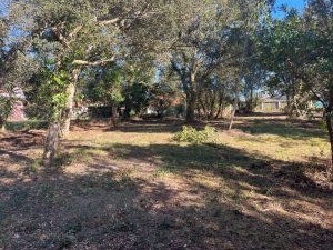 52972018  – Terrain à LABENNE