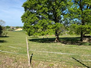 52974754  – Maison – 7 pièces à HAURIET