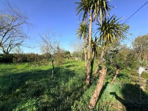 52975765  – Maison – 3 pièces à ST GERME