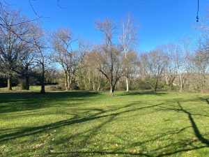 52835101  – Maison – 6 pièces à AMOU