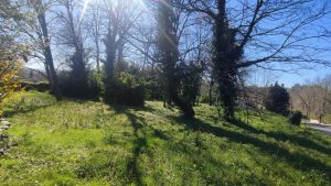 52858876  – Terrain à PEYREHORADE