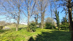 52858876  – Terrain à PEYREHORADE