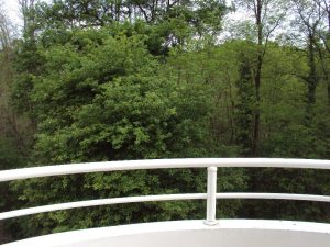 52980213  – Appartement – 2 pièces à ST PIERRE DU MONT