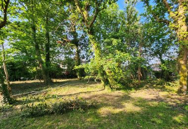 51951092  – Terrain à SANGUINET