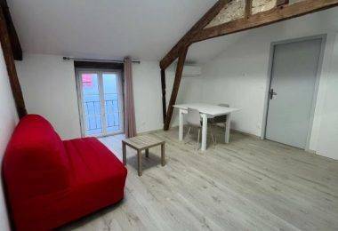 52367845  – Appartement – 2 pièces à AIRE SUR L ADOUR