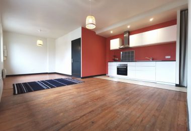 52964752  – Appartement – 2 pièces à AIRE SUR L ADOUR